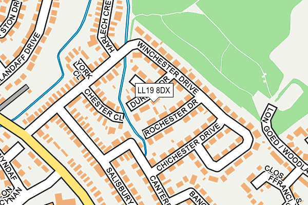 LL19 8DX map - OS OpenMap – Local (Ordnance Survey)