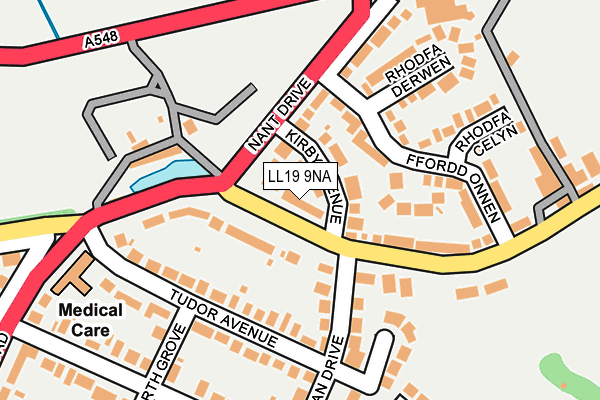 LL19 9NA map - OS OpenMap – Local (Ordnance Survey)