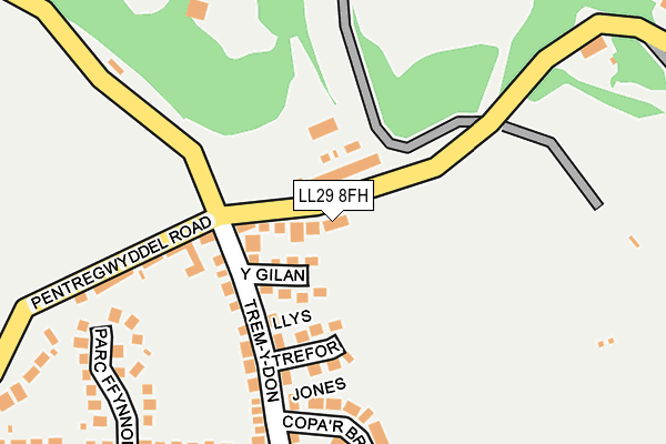 LL29 8FH map - OS OpenMap – Local (Ordnance Survey)