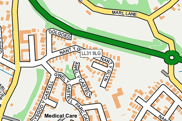 LL31 9LG map - OS OpenMap – Local (Ordnance Survey)