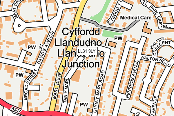 LL31 9LY map - OS OpenMap – Local (Ordnance Survey)