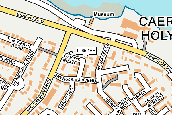 LL65 1AE map - OS OpenMap – Local (Ordnance Survey)