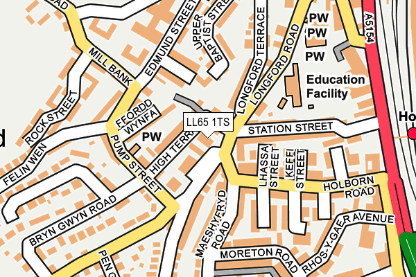 LL65 1TS map - OS OpenMap – Local (Ordnance Survey)