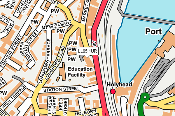 LL65 1UR map - OS OpenMap – Local (Ordnance Survey)