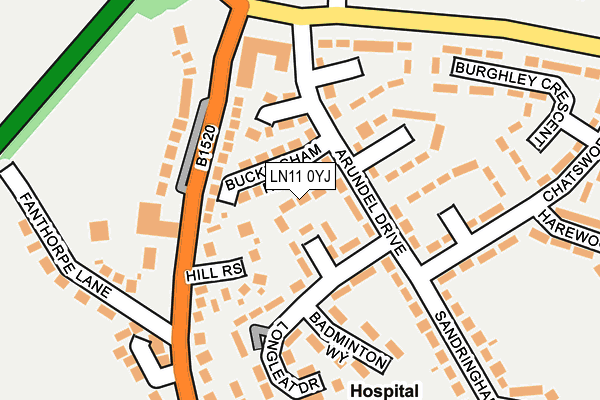 LN11 0YJ map - OS OpenMap – Local (Ordnance Survey)