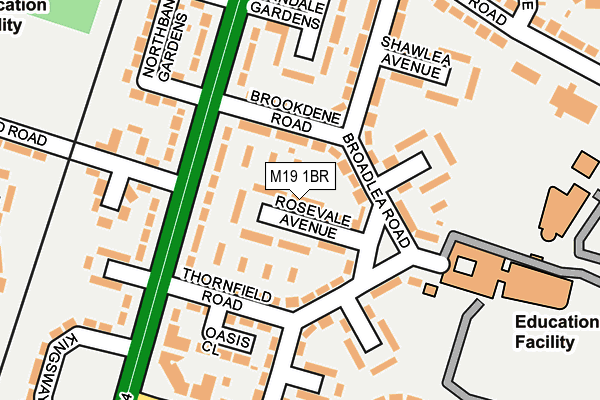 M19 1BR map - OS OpenMap – Local (Ordnance Survey)