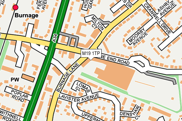 M19 1TP map - OS OpenMap – Local (Ordnance Survey)