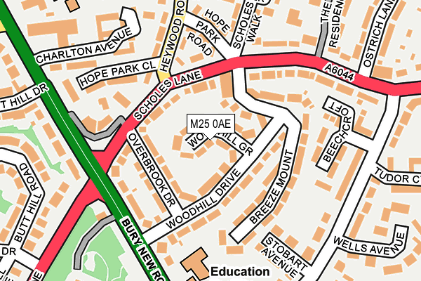 M25 0AE map - OS OpenMap – Local (Ordnance Survey)