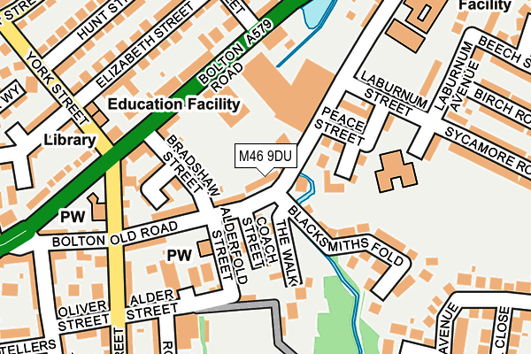 M46 9DU map - OS OpenMap – Local (Ordnance Survey)