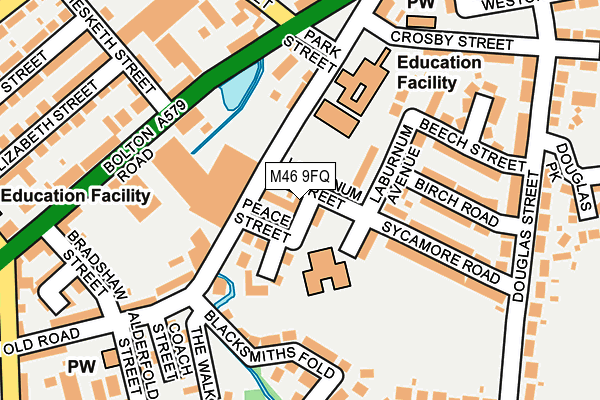 M46 9FQ map - OS OpenMap – Local (Ordnance Survey)