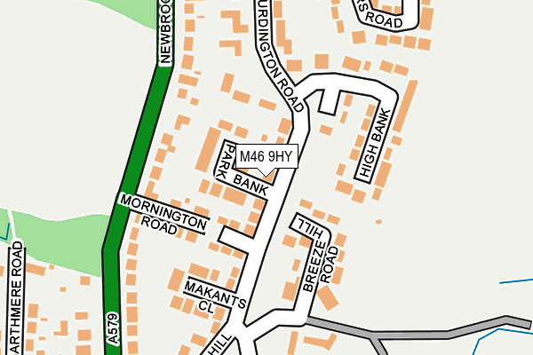 M46 9HY map - OS OpenMap – Local (Ordnance Survey)