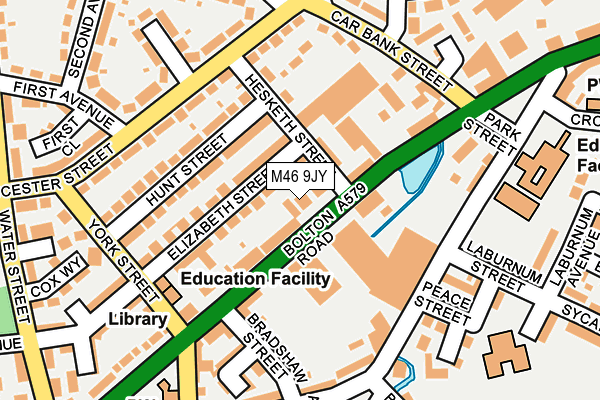 M46 9JY map - OS OpenMap – Local (Ordnance Survey)