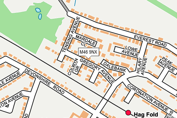 M46 9NX map - OS OpenMap – Local (Ordnance Survey)