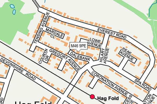 M46 9PE map - OS OpenMap – Local (Ordnance Survey)
