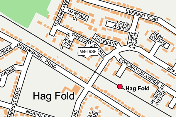 M46 9SF map - OS OpenMap – Local (Ordnance Survey)