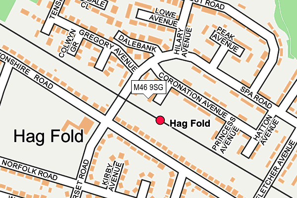 M46 9SG map - OS OpenMap – Local (Ordnance Survey)