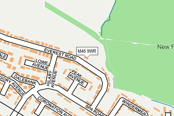 M46 9WR map - OS OpenMap – Local (Ordnance Survey)