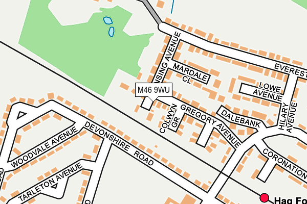 M46 9WU map - OS OpenMap – Local (Ordnance Survey)