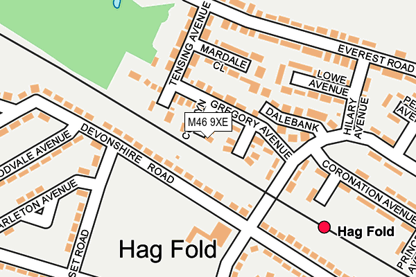 M46 9XE map - OS OpenMap – Local (Ordnance Survey)