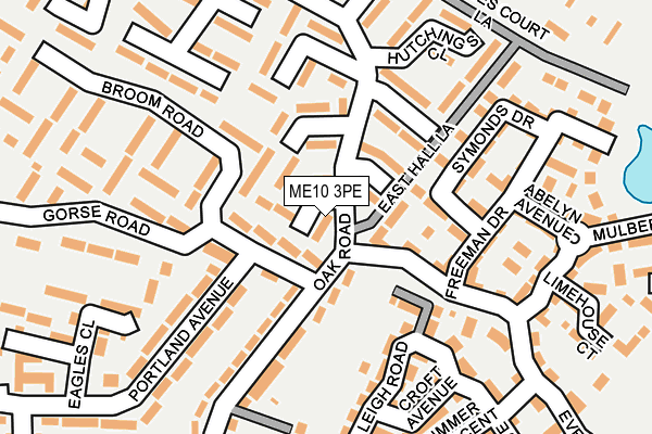 ME10 3PE map - OS OpenMap – Local (Ordnance Survey)