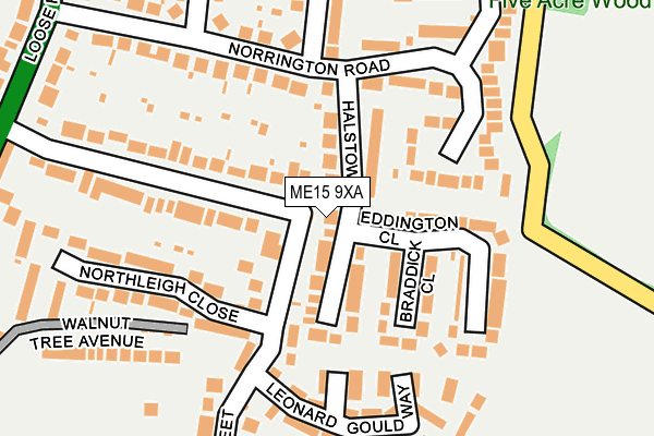 ME15 9XA map - OS OpenMap – Local (Ordnance Survey)