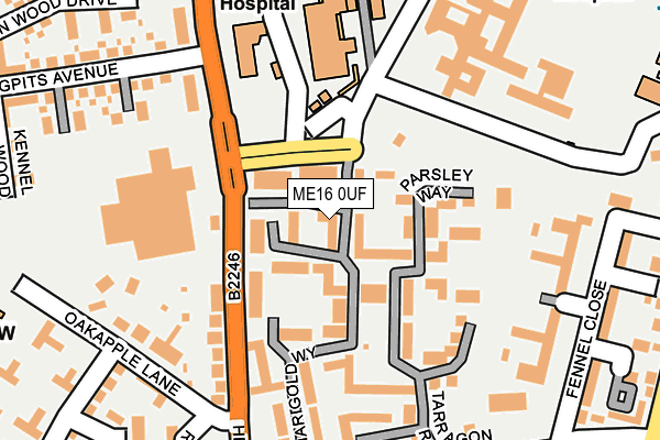 ME16 0UF map - OS OpenMap – Local (Ordnance Survey)