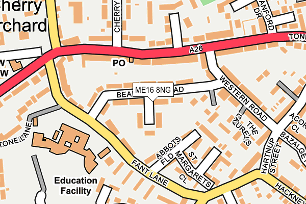 ME16 8NG map - OS OpenMap – Local (Ordnance Survey)