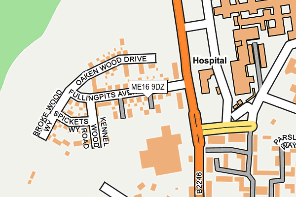 ME16 9DZ map - OS OpenMap – Local (Ordnance Survey)