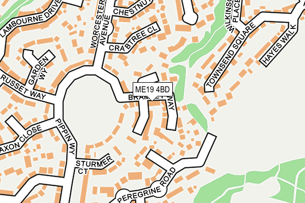 ME19 4BD map - OS OpenMap – Local (Ordnance Survey)