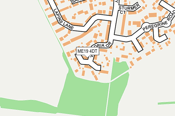 ME19 4DT map - OS OpenMap – Local (Ordnance Survey)