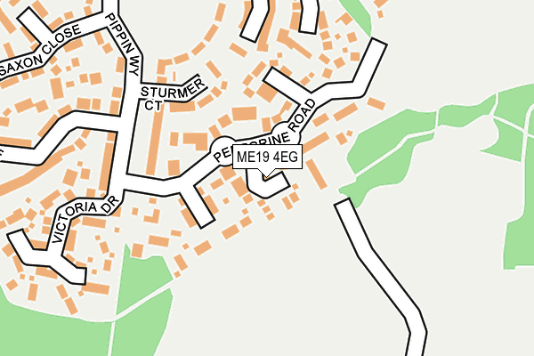ME19 4EG map - OS OpenMap – Local (Ordnance Survey)