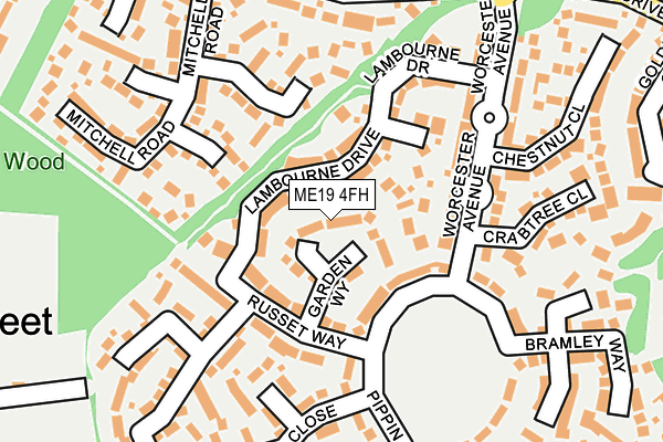 ME19 4FH map - OS OpenMap – Local (Ordnance Survey)