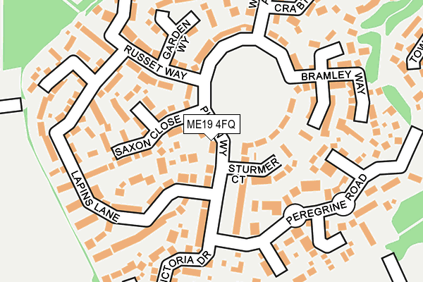 ME19 4FQ map - OS OpenMap – Local (Ordnance Survey)