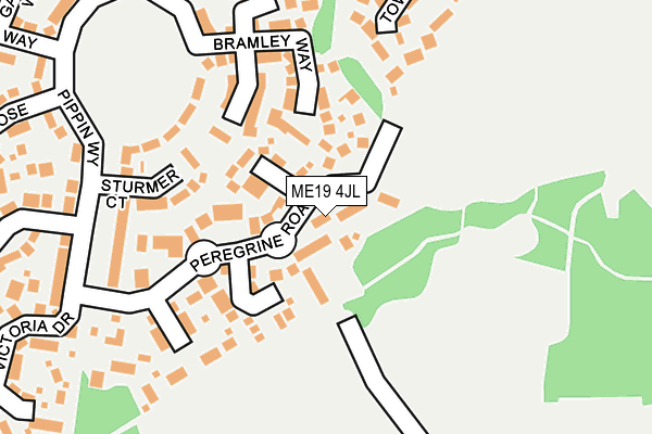 ME19 4JL map - OS OpenMap – Local (Ordnance Survey)