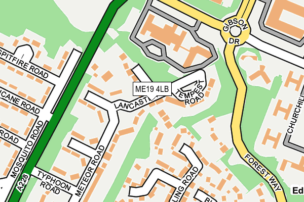 ME19 4LB map - OS OpenMap – Local (Ordnance Survey)