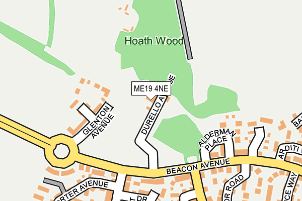 ME19 4NE map - OS OpenMap – Local (Ordnance Survey)