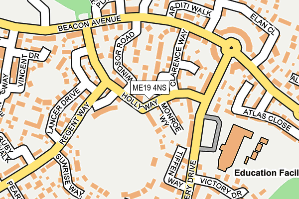 ME19 4NS map - OS OpenMap – Local (Ordnance Survey)