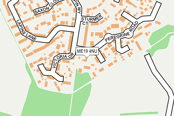 ME19 4NU map - OS OpenMap – Local (Ordnance Survey)