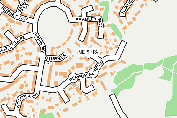 ME19 4PA map - OS OpenMap – Local (Ordnance Survey)