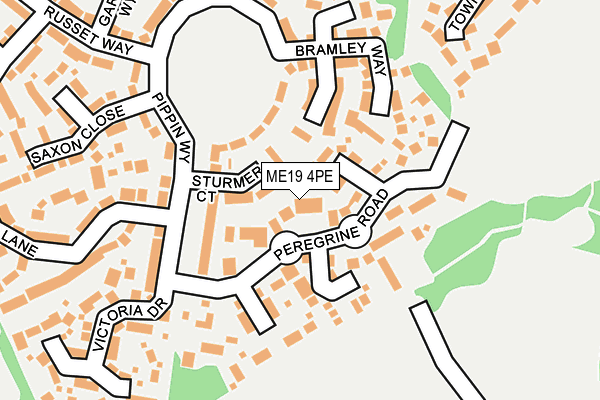 ME19 4PE map - OS OpenMap – Local (Ordnance Survey)