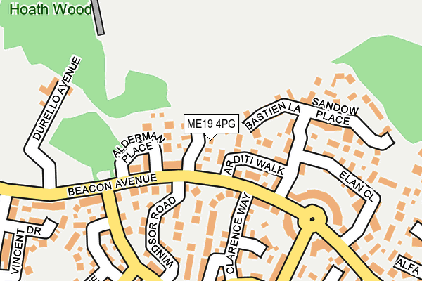 ME19 4PG map - OS OpenMap – Local (Ordnance Survey)