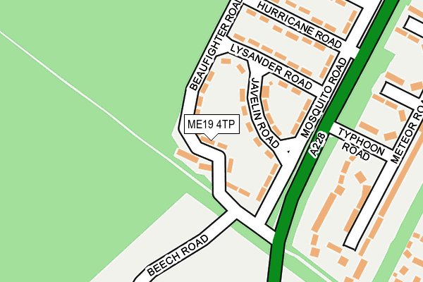 ME19 4TP map - OS OpenMap – Local (Ordnance Survey)