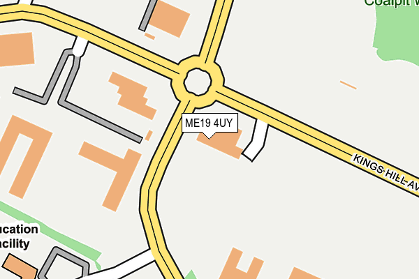 ME19 4UY map - OS OpenMap – Local (Ordnance Survey)