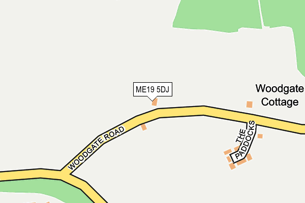 ME19 5DJ map - OS OpenMap – Local (Ordnance Survey)