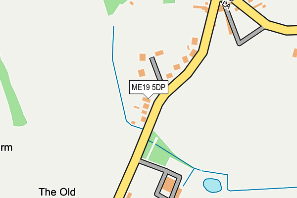 ME19 5DP map - OS OpenMap – Local (Ordnance Survey)