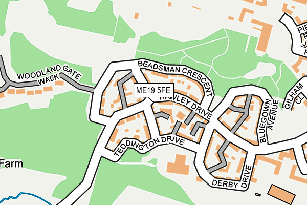 ME19 5FE map - OS OpenMap – Local (Ordnance Survey)