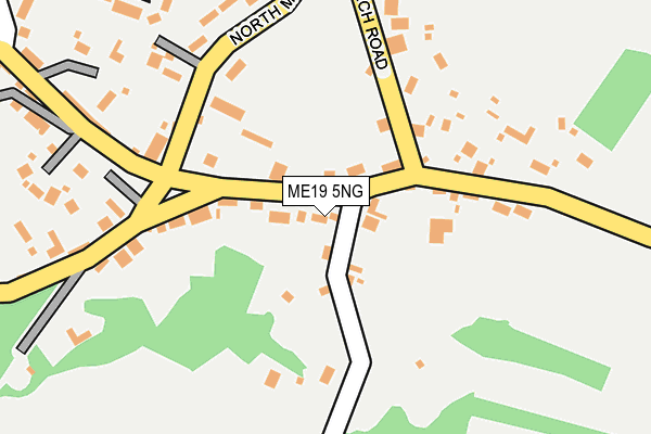 ME19 5NG map - OS OpenMap – Local (Ordnance Survey)