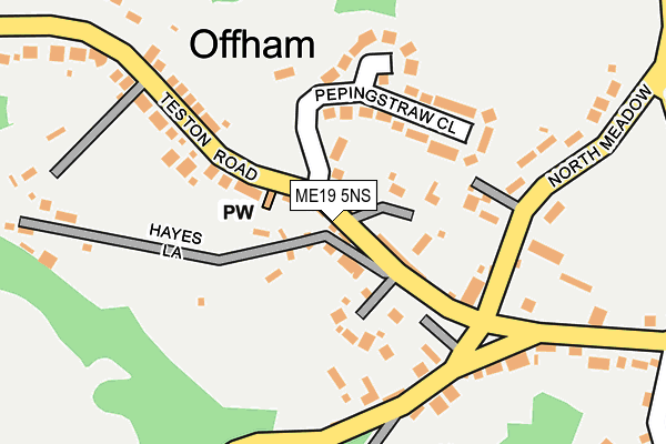 ME19 5NS map - OS OpenMap – Local (Ordnance Survey)