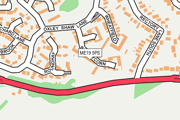 ME19 5PS map - OS OpenMap – Local (Ordnance Survey)