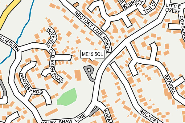 ME19 5QL map - OS OpenMap – Local (Ordnance Survey)